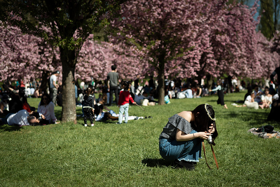 Une jeune femme photographie dans le parc de Sceaux