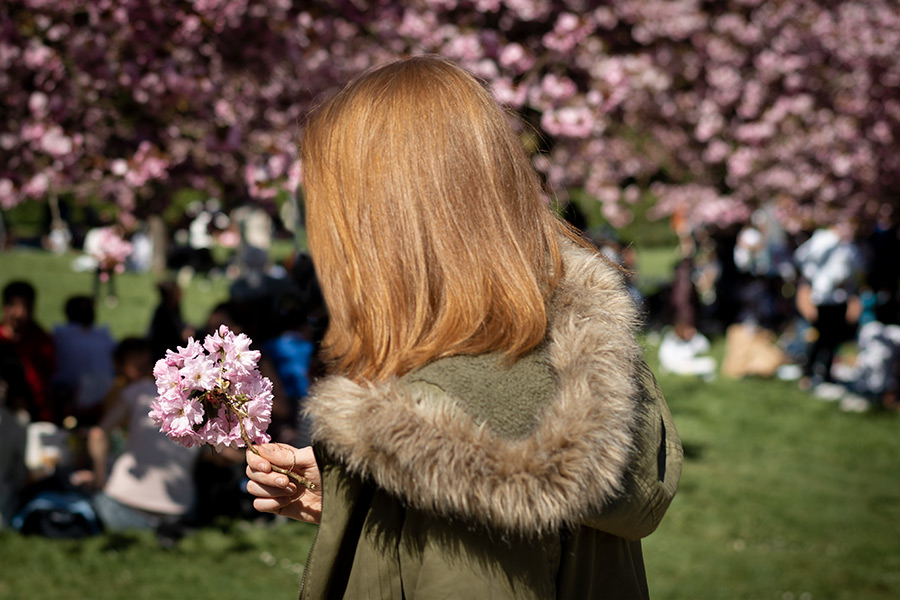 fille rousse avec une fleur de cerisier