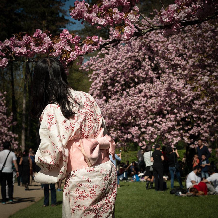 femme habillée pour hanami