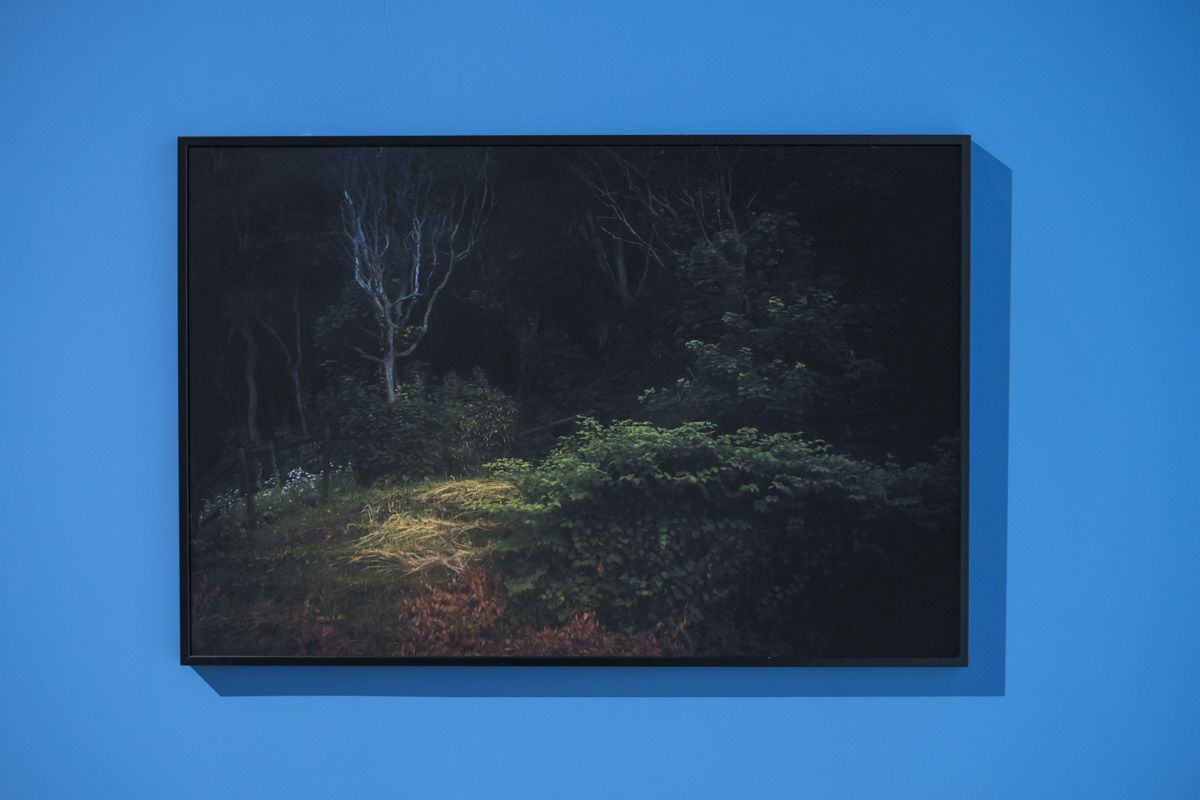 tremplin Jeunes Talents Isabelle Scotta