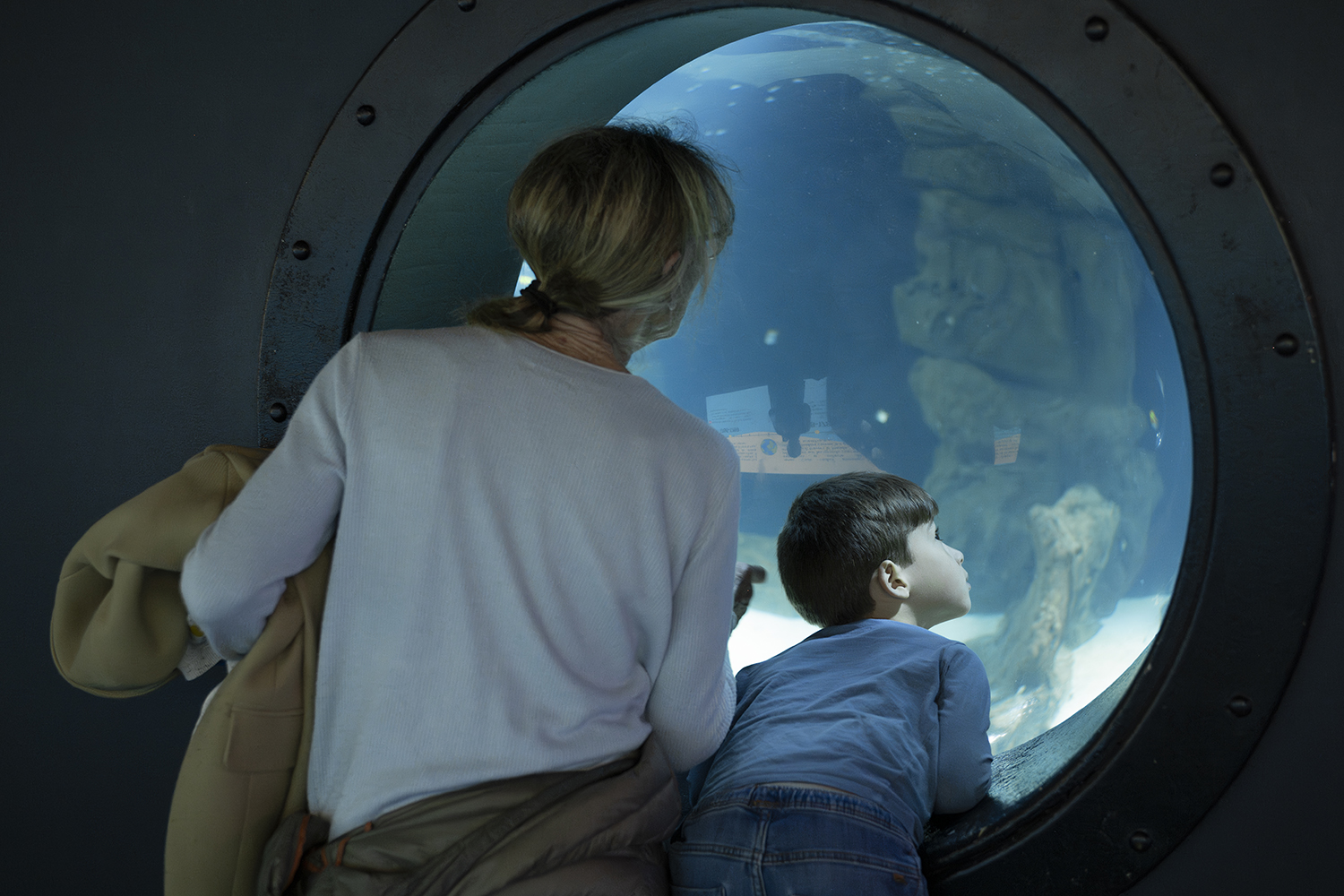 Isabelle_Scotta_Aquarium_de_Paris