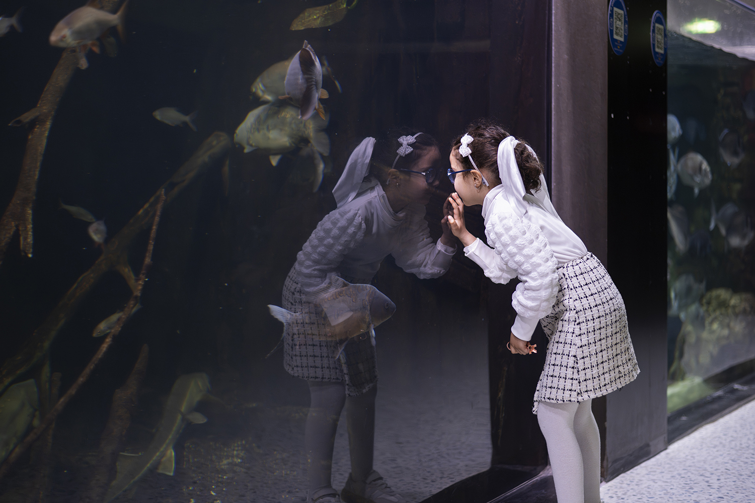 Aquarium de Paris