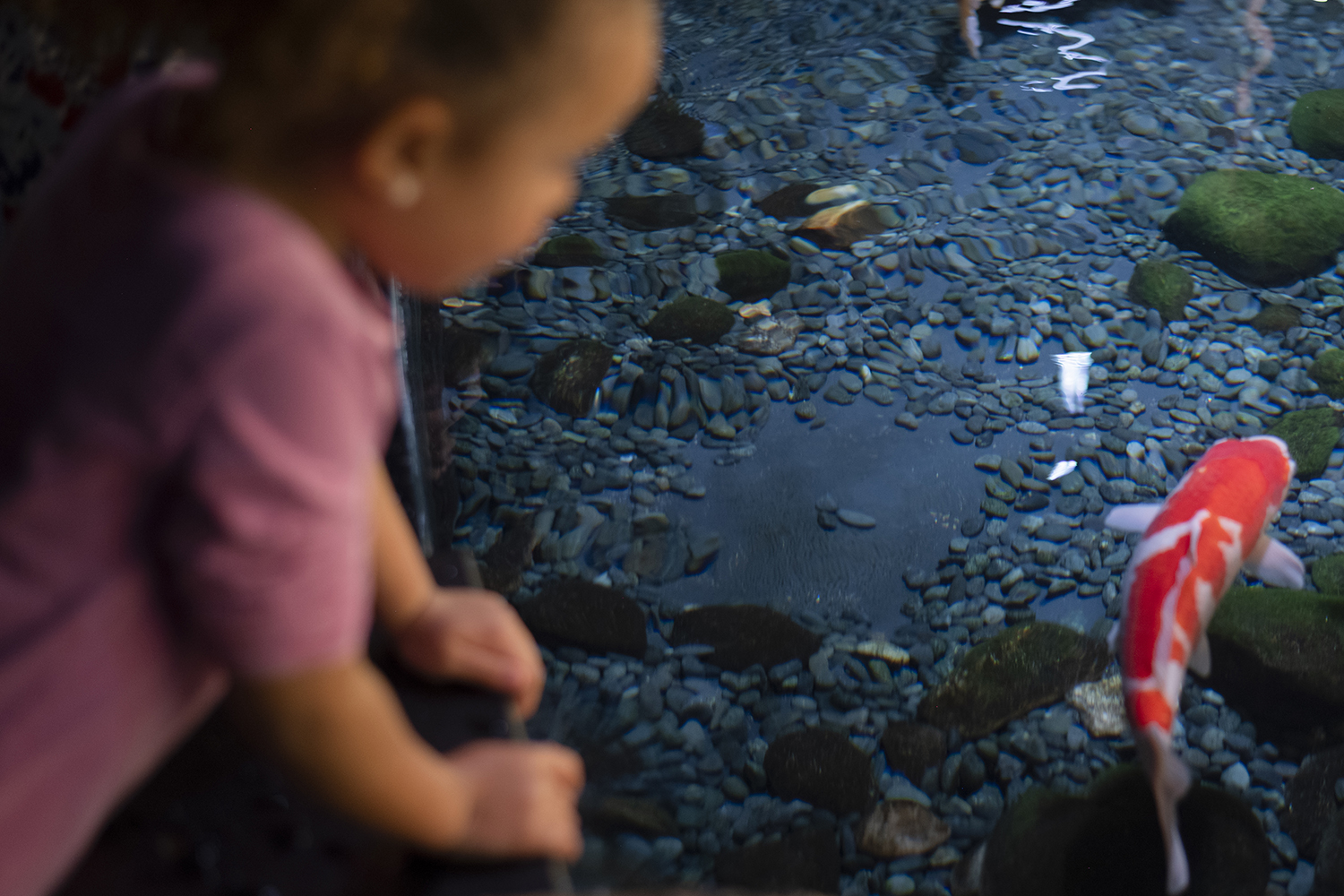 Isabelle_Scotta_Aquarium_de_Paris
