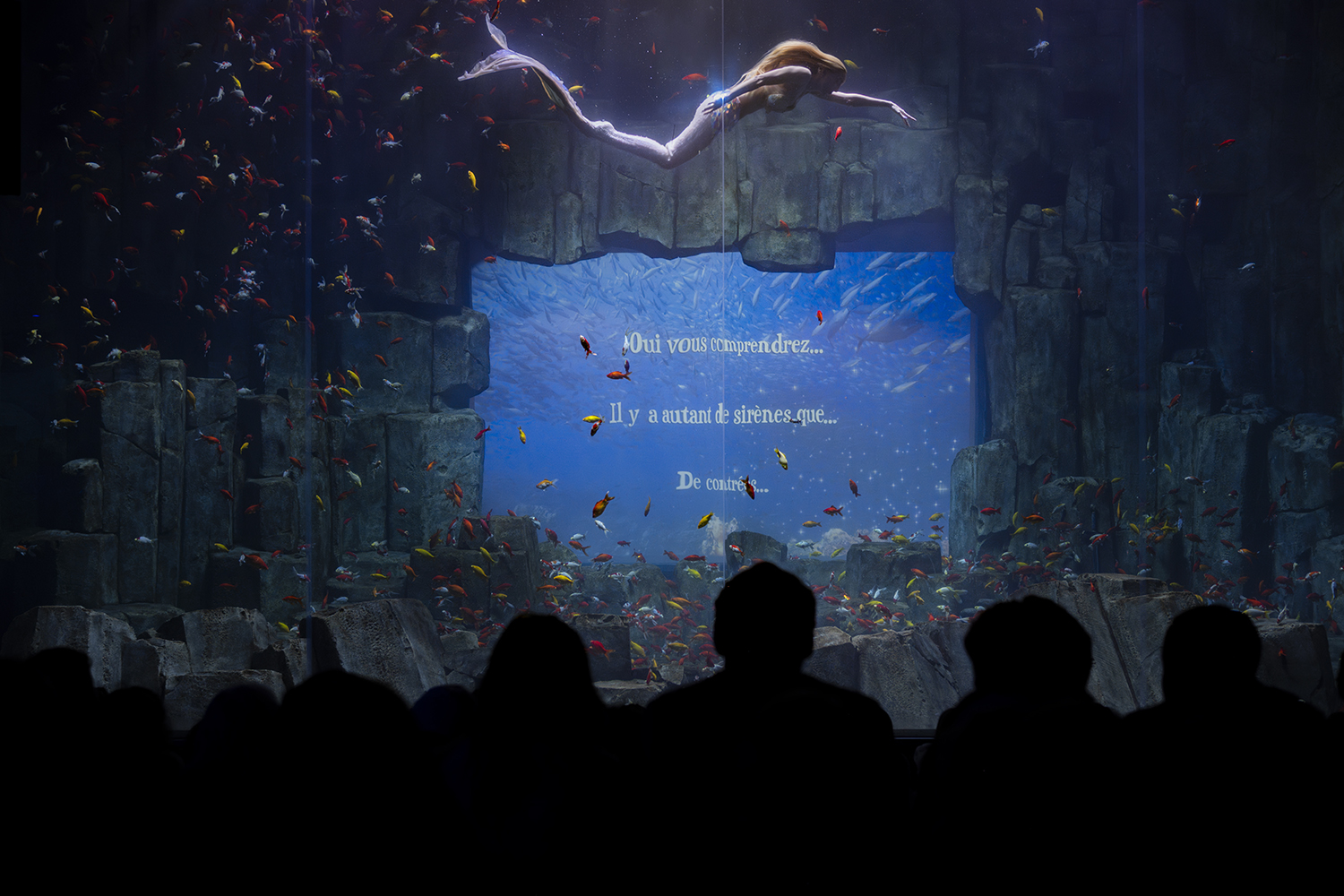 Isabelle_Scotta_Aquarium_de_Paris