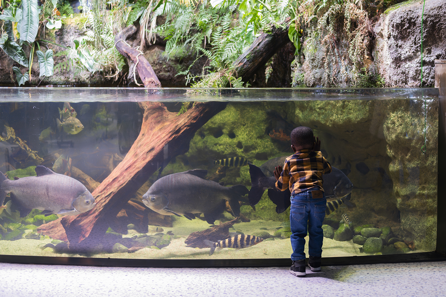 Isabelle_Scotta_Aquarium_de_Paris