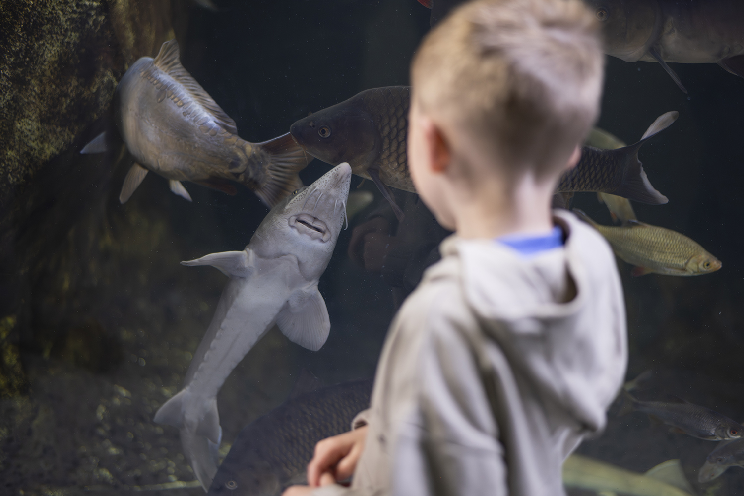 Isabelle_Scotta_Aquarium_de_Paris